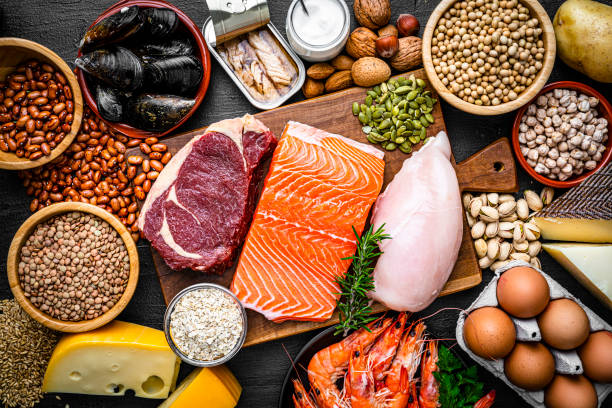 GAMA RICO EN PROTEINAS